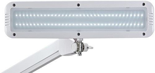 Lampe de bureau MAULintro LED avec pince dimmable blanc-2