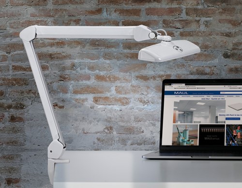 Lampe de bureau MAULintro LED avec pince dimmable blanc-3