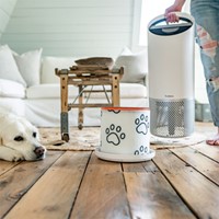 Filtre à charbon Animaux pour Leitz TruSens Z-2000-3