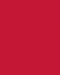 Carton bricolage Folia 48x68cm 400g n° 211 rouge