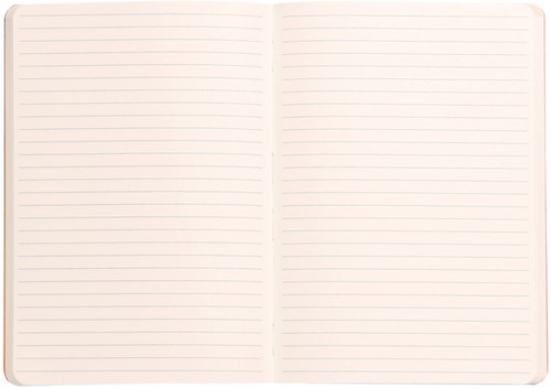 Notitieboek Rhodia A5 lijn 80 vel 90gr celadon-2