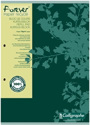 Bloc de cours Clairefontaine Forever Calligraphe A4 ligné 2 perf 200 pages 70g vert