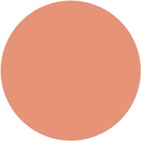 Surligneur STABILO Boss 70/175 NatureCOLORS marron glacé-3