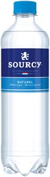 Water Sourcy blue cap bottle 500ml