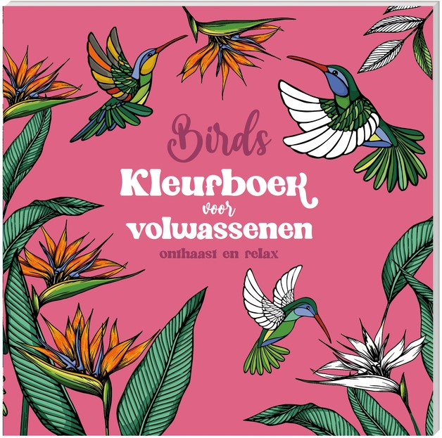 Aquarelwerkboek voor beginners, creatief kleurboek met 12