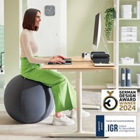 Actieve zitbal Leitz Ergo 75cm anti-rol donkergrijs-12