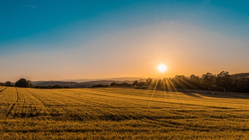 2026 - Sectoren - 5 - Agri & Natuur