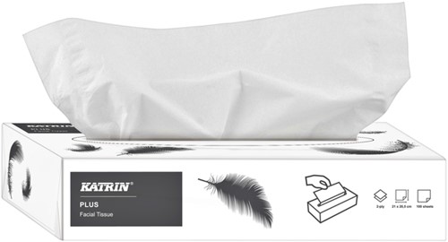Facial tissues Katrin Plus 2-ply 100 sheets white 11797