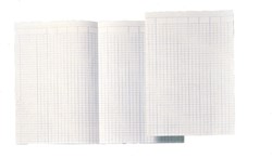 Papier comptable Djois Atlanta double A4 14 colonnes 100 feuilles