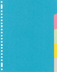 Intercalaire Kangaro RY405M A4 23 perforations 5 onglets carton assorti