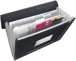 Project folder Esselte Vivida A4 6 compartments PP black