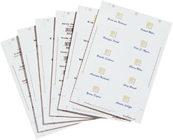 Ausweiskarte Durable 1456 bedruckbar 60x90mm 160 Stück